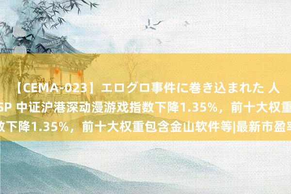 【CEMA-023】エログロ事件に巻き込まれた 人妻たちの昭和史 210分SP 中证沪港深动漫游戏指数下降1.35%，前十大权重包含金山软件等|最新市盈率