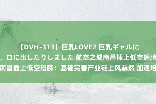 【DVH-313】巨乳LOVE2 巨乳ギャルにザーメンを中出ししたり、口に出したりしました 航空之城南昌插上低空翅膀：基础完善产业链上风赫然 加速培育新业态