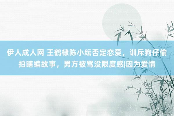 伊人成人网 王鹤棣陈小纭否定恋爱，训斥狗仔偷拍瞎编故事，男方被骂没限度感|因为爱情