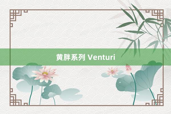 黄胖系列 Venturi