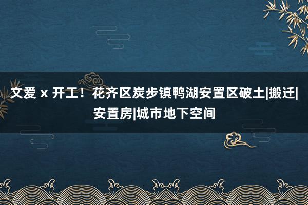 文爱 x 开工！花齐区炭步镇鸭湖安置区破土|搬迁|安置房|城市地下空间