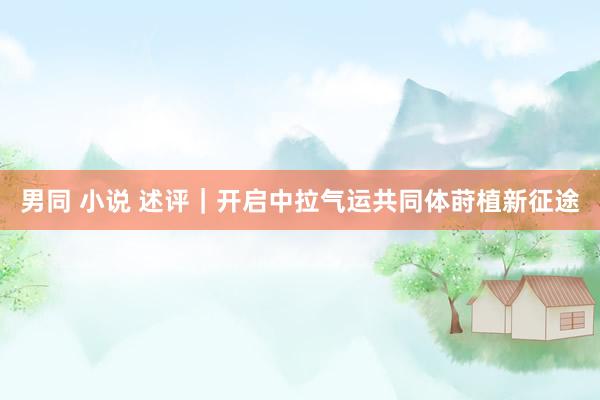 男同 小说 述评｜开启中拉气运共同体莳植新征途